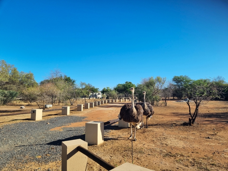 Commercial Property for Sale in Lindleyspoort North West